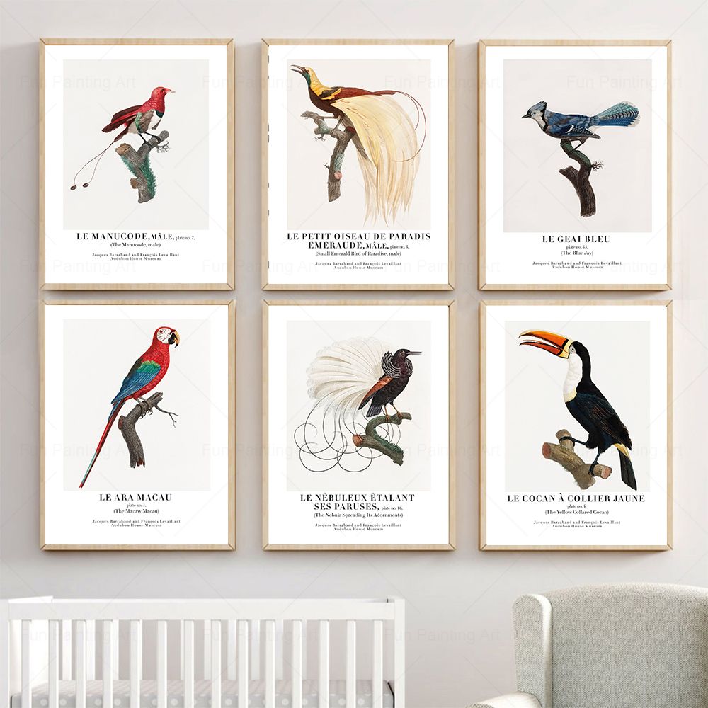 Vintage Paradise Bird Wall Art - огляд і ціна Furniture Paradise & Hardware Ghaziabad