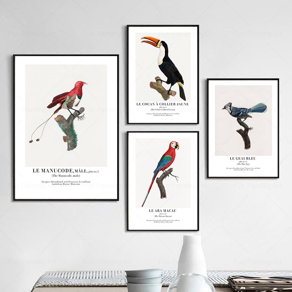 Vintage Paradise Bird Wall Art - огляд і ціна Furniture Paradise & Hardware Ghaziabad