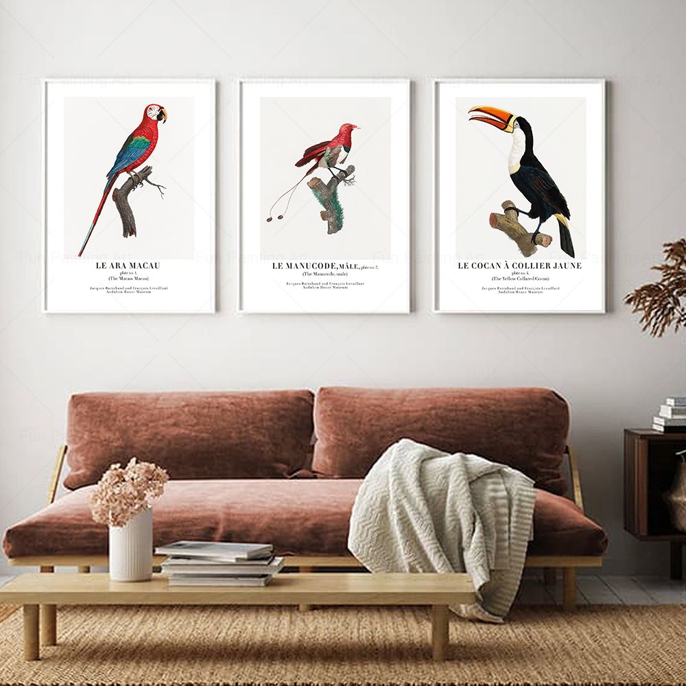 Vintage Paradise Bird Wall Art - огляд і ціна Furniture Paradise & Hardware Ghaziabad