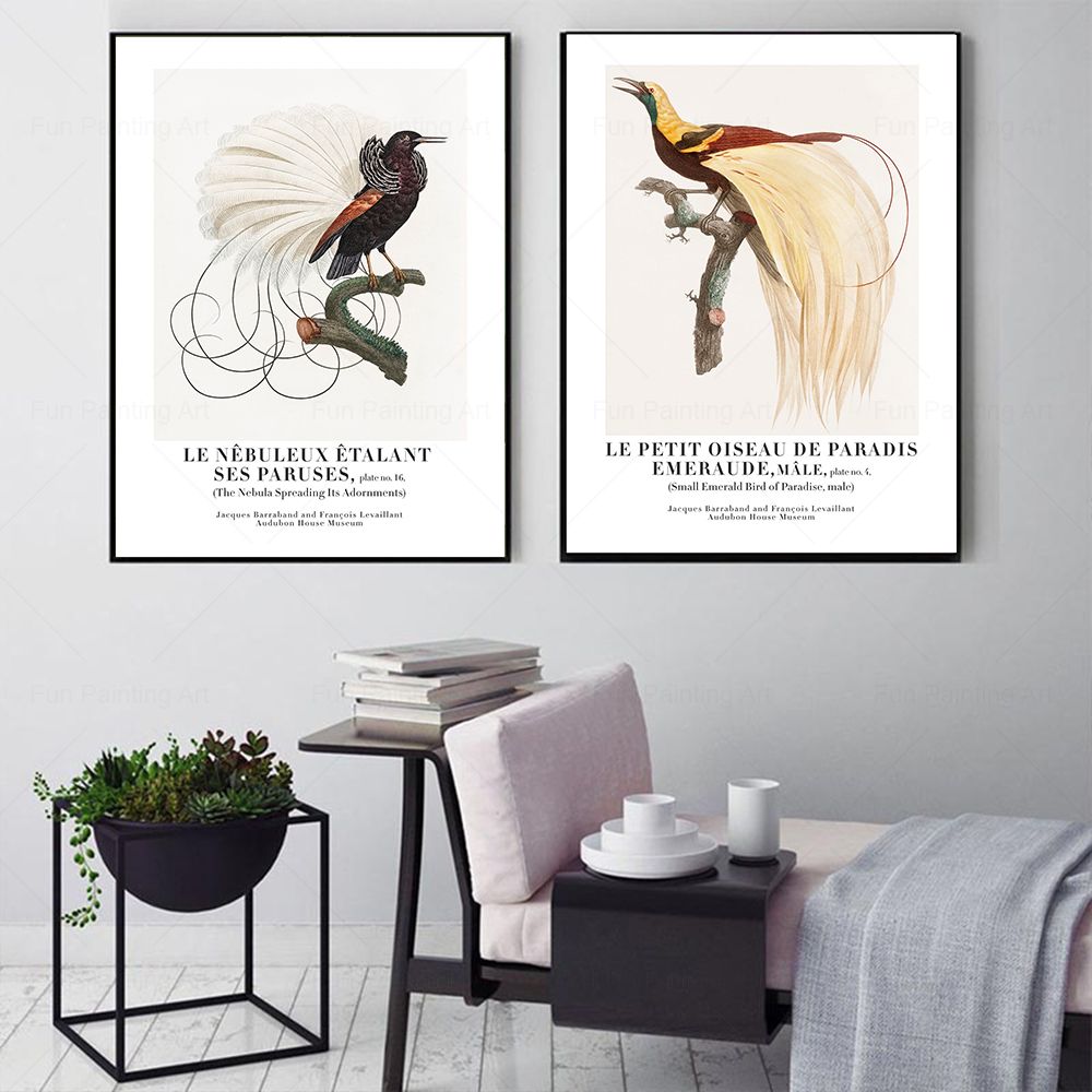 Vintage Paradise Bird Wall Art - огляд і ціна Furniture Paradise & Hardware Ghaziabad