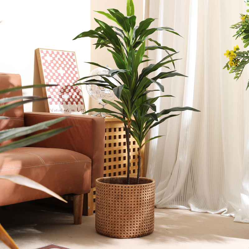 Furniture for small-sized apar - огляд і ціна Furniture Paradise & Hardware Ghaziabad